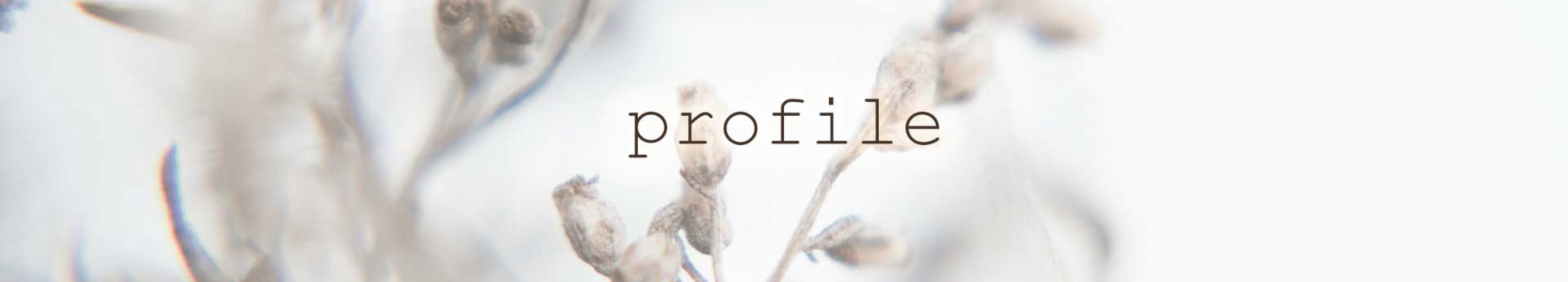profile2